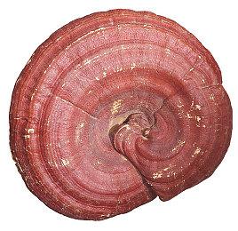 官方承认：《使命召唤》反作弊更新无法完全解决问题